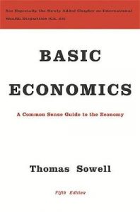 a common sense guide to the economy